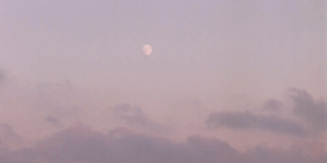 somatic counseling in Denver, nervous system regulation mindful therapy in Denver Michelle Paget