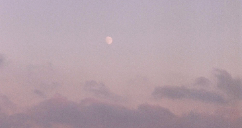 somatic counseling in Denver, nervous system regulation mindful therapy in Denver Michelle Paget